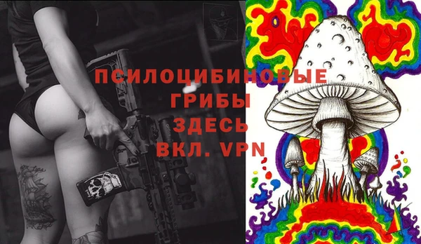 СК Алексеевка
