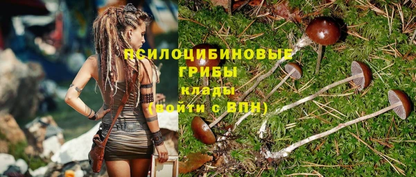 дмт Алзамай