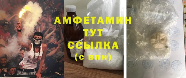 дмт Алзамай